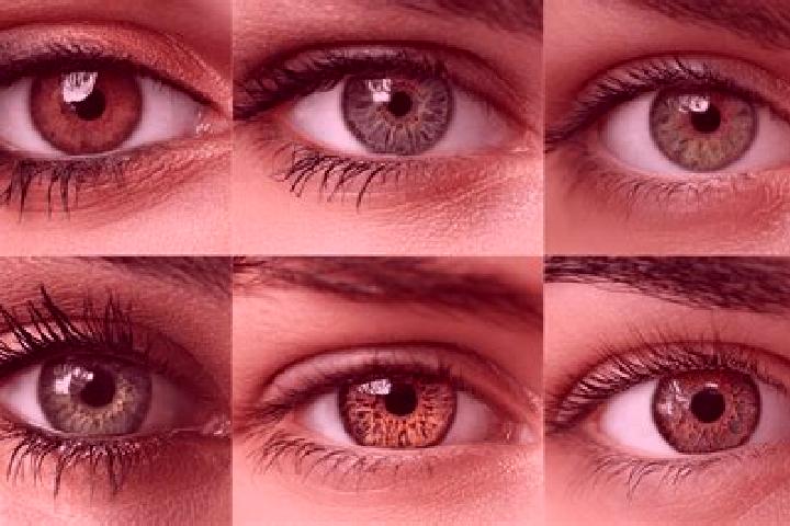 Ruby, 39, a black hazel-eyed middle eastern companion based in Niangourougbono. Offering Duos, Fetish, 69, Erotic Massage. Available for incall and outcall, ...