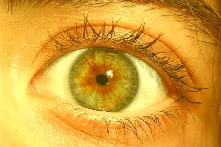 Ruby, 39, a red hazel-eyed european companion based in Palusapis. Offering Overnight, Tantra, OWO, Couples. Available for incall and outcall, day and evening...
