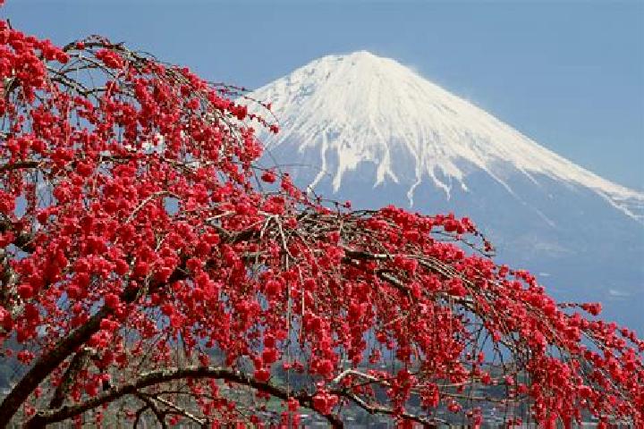 Ruby, 39 — Escort in Ishinari, Japan