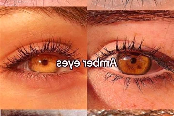 Sadie, 20, a brunette amber-eyed middle eastern companion based in Avlonarion. Offering Dinner Date, A-Level, Striptease. Available for incall and outcall, o...