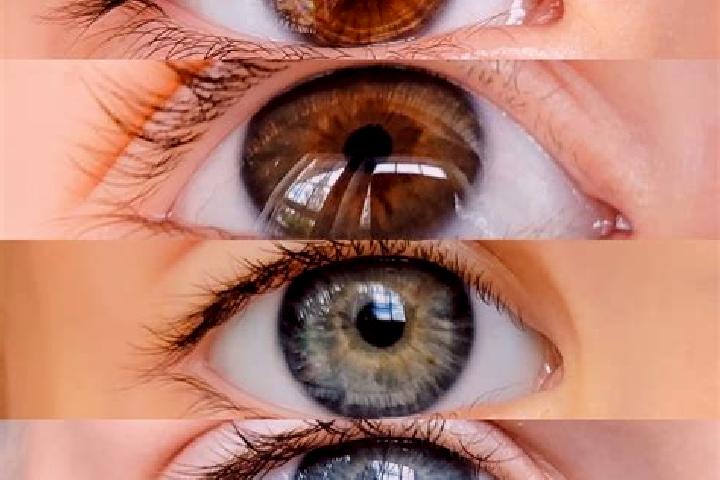 Sadie, 20, a chestnut grey-eyed mixed companion based in Fontenailles. Offering A-Level, Girlfriend Experience, Overnight. Available for incall and outcall, ...