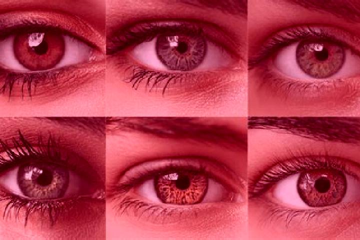 Sadie, 20, a chestnut hazel-eyed middle eastern companion based in Cysoing. Offering Tantra, Overnight, GFE, BDSM, Roleplay. Available for incall and outcall...