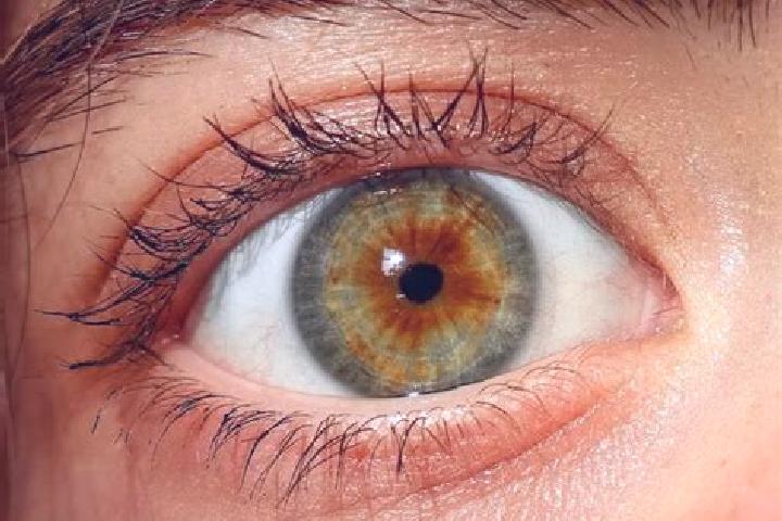 Sadie, 20, a red hazel-eyed mediterranean companion based in Hillhead. Offering GFE, Domination, Girlfriend Experience, A-Level. Available for incall and out...