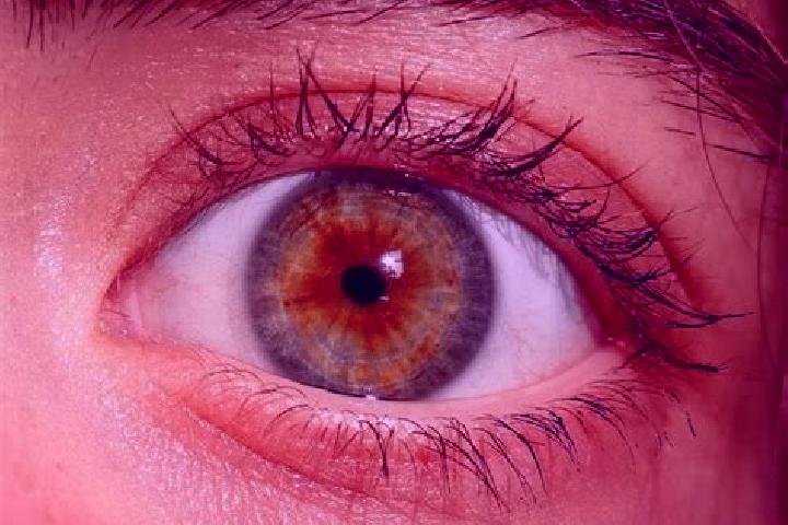 Sadie, 20, a red hazel-eyed mediterranean companion based in Lucq-de-Bearn. Offering Massage, Dinner Date, Domination, A-Level. Available for incall and outc...
