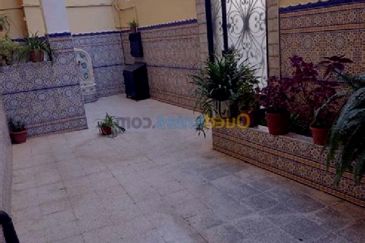 Sadie, 20 — Escort in Beni Tamou, Algeria