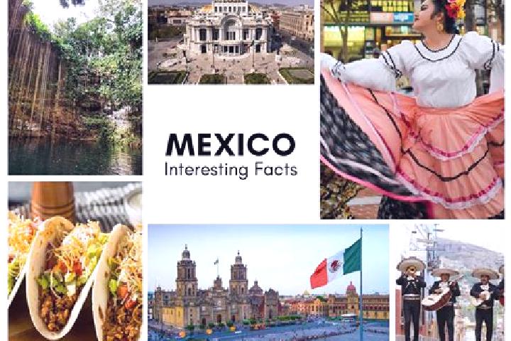Sadie, 20 — Escort in Boxaxni, Mexico