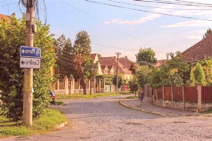 Sadie, 20 — Escort in Chislaz, Romania