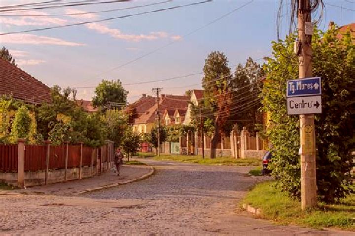 Sadie, 20 — Escort in Cogealac, Romania