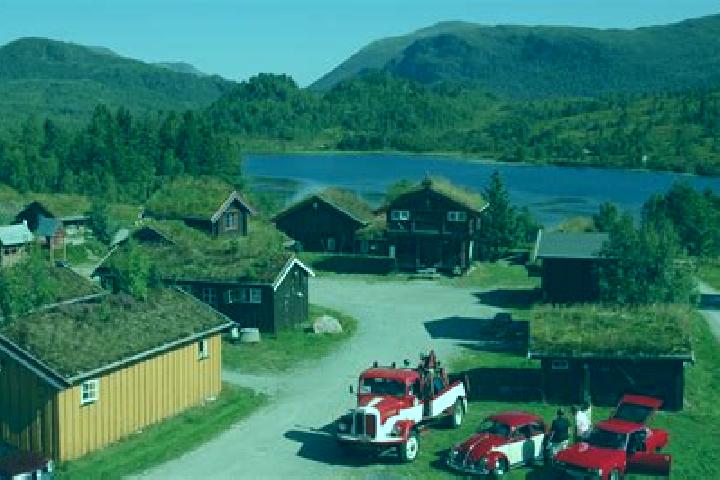 Sadie, 20 — Escort in Elnesvagen, Norway
