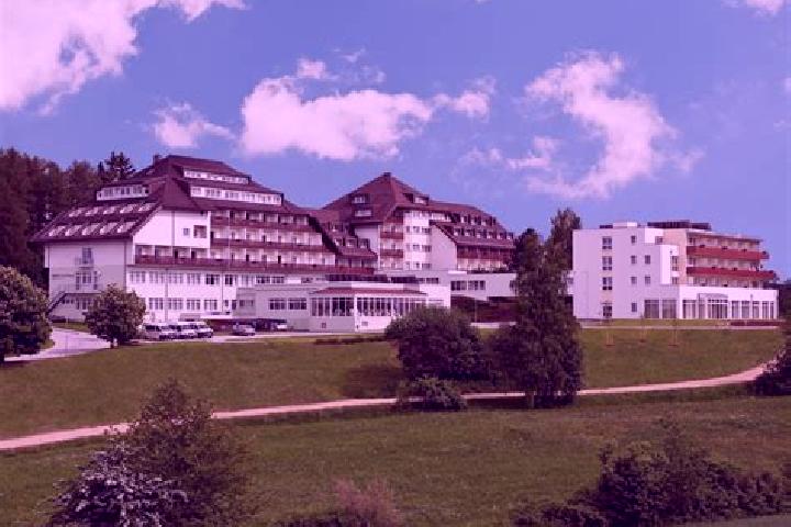 Sadie, 20 — Escort in Gross-Gerungs, Austria