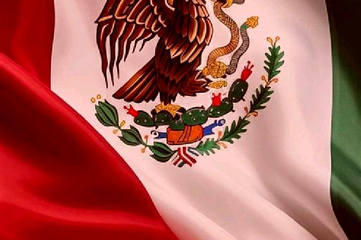 Sadie, 20 — Escort in La Patria, Mexico