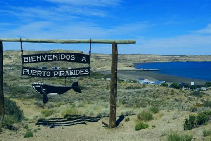 Sadie, 20 — Escort in Puerto Piramides, Argentina