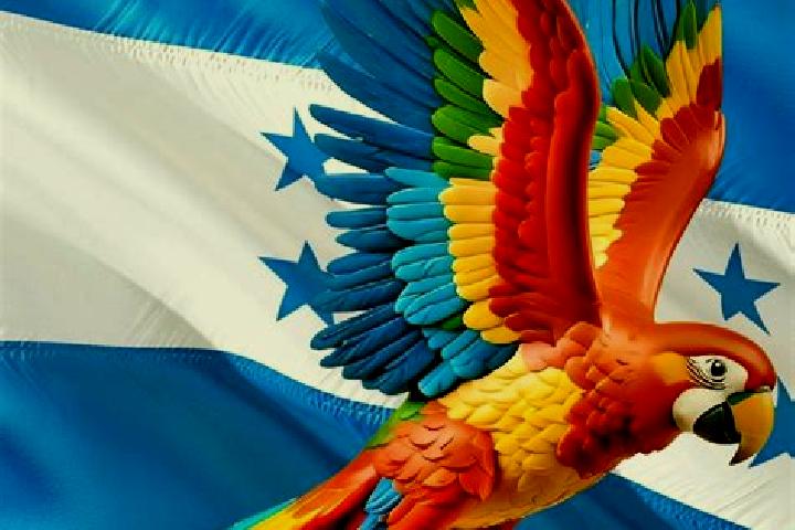 Sadie, 20 — Escort in Quebradas, Honduras