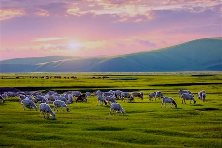 Sadie, 20 — Escort in Sharbulag, Mongolia