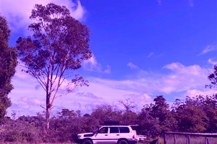 Sadie, 20 — Escort in Wedderburn, Australia