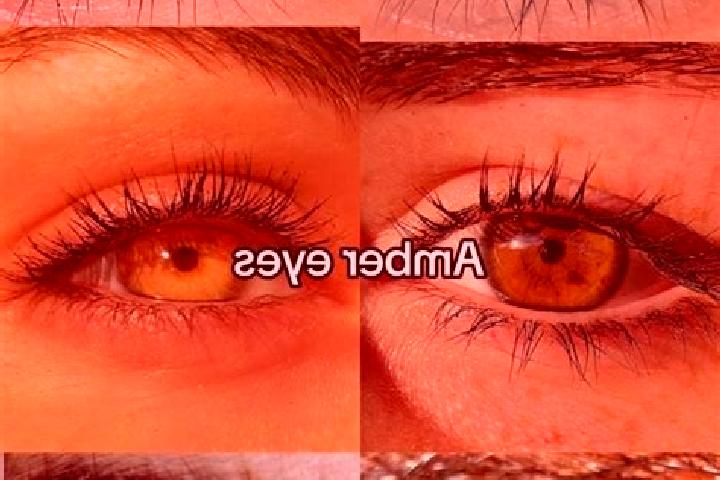 Sadie, 21, a chestnut amber-eyed middle eastern companion based in Waterloo. Offering Girlfriend Experience, BDSM, GFE. Available for incall and outcall, day...