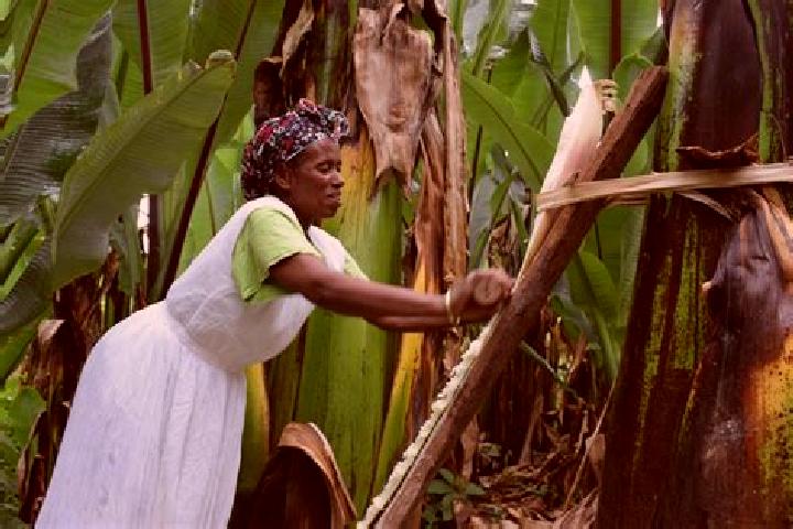 Sadie, 21 — Escort in Gedio-Gedio, Ivory Coast