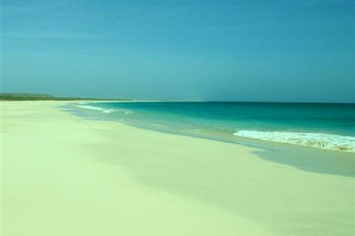 Sadie, 21 — Escort in Ponta de Agua, Cape Verde