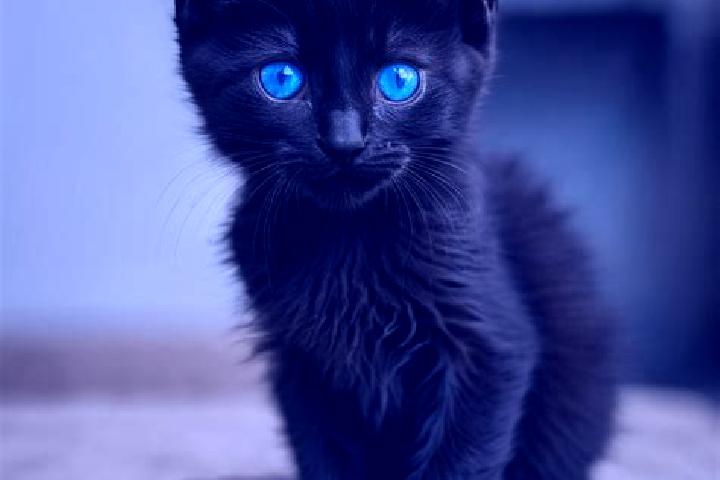 Sadie, 22, a black blue-eyed mediterranean companion based in Daijiaba. Offering Dinner Date, 69, Erotic Massage, Couples. Available for incall and outcall, ...