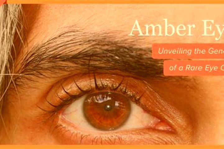 Sadie, 22, a red amber-eyed indian companion based in Behren-Luebchin. Offering Domination, A-Level, BDSM, Dinner Date. Available for incall and outcall, day...