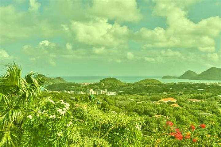 Sadie, 22 — Escort in Cap Estate, Saint Lucia