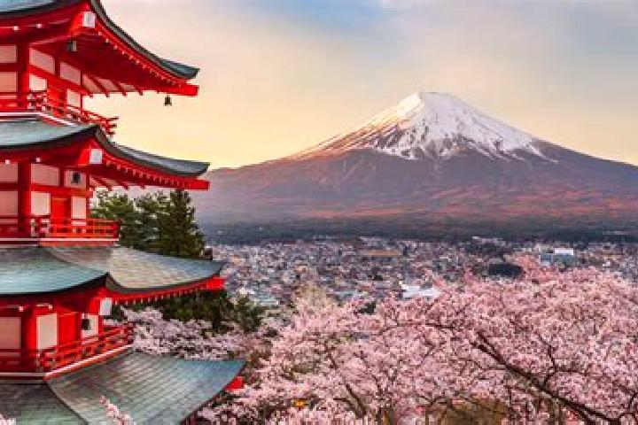 Sadie, 22 — Escort in Fujiyoshida, Japan