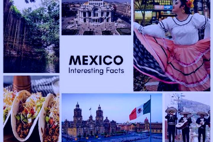 Sadie, 22 — Escort in Moyotepec, Mexico