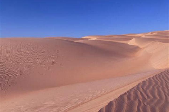 Sadie, 22 — Escort in Ouad Naga, Mauritania