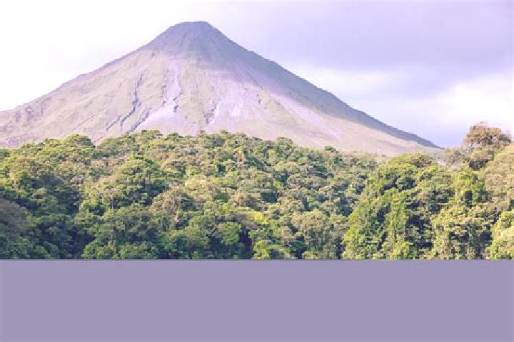 Sadie, 23 — Escort in Arenal de Gomez (Primer Arenal), Mexico
