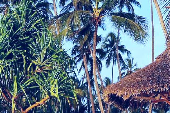 Sadie, 23 — Escort in Matui, Tanzania