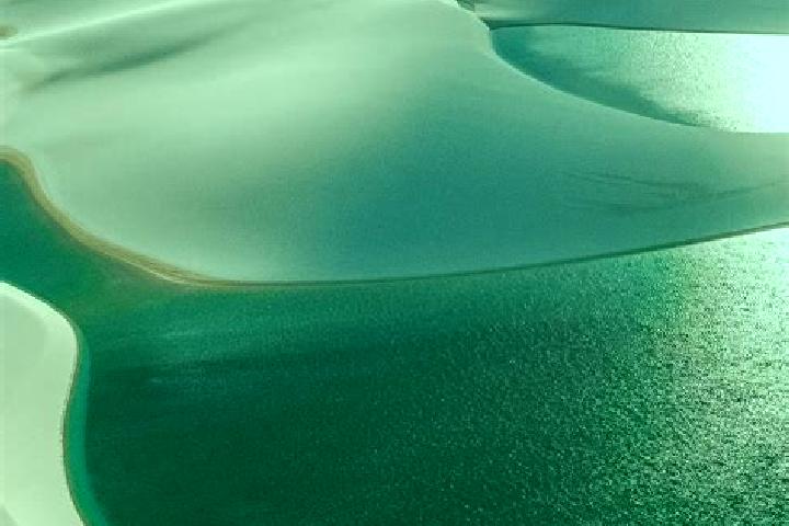 Sadie, 23 — Escort in Medanos, Argentina