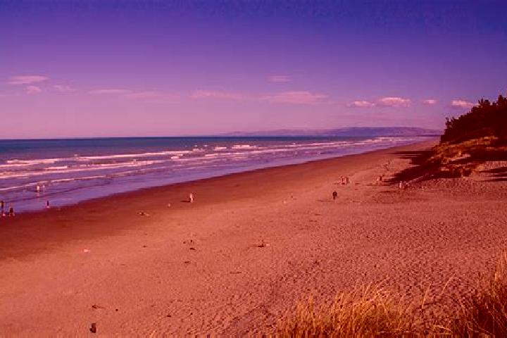 Sadie, 23 — Escort in Waikuku Beach, New Zealand