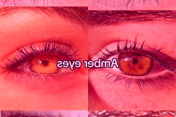 Sadie, 24, a chestnut amber-eyed middle eastern companion based in Vila Verde. Offering Massage, Travel Companion. Available for incall and outcall, overnigh...