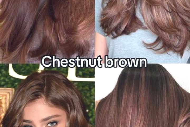 Sadie, 24, a chestnut dark-eyed asian companion based in Bowleys Quarters. Offering Roleplay, Girlfriend Experience, Dinner Date, 69. Available for incall an...