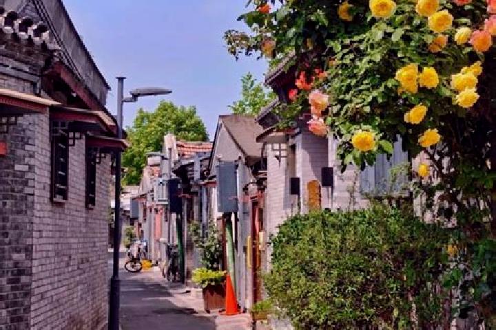 Sadie, 24 — Escort in Beiling, China