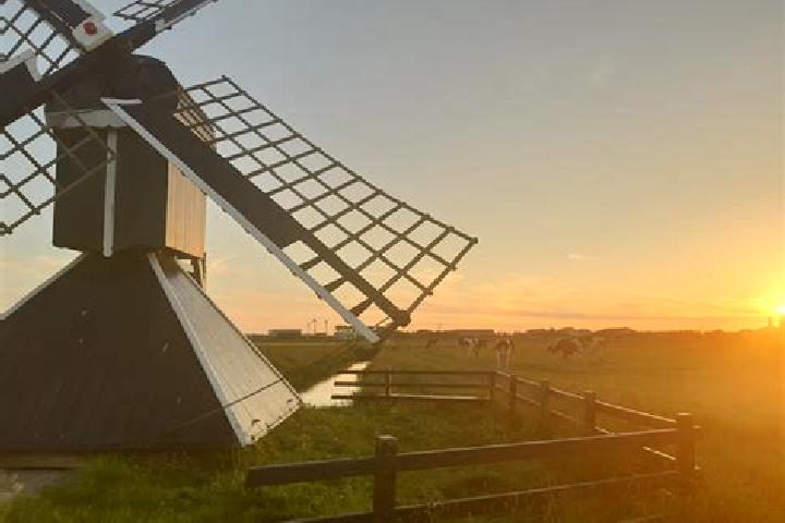Sadie, 24 — Escort in Zuidschermer, Netherlands