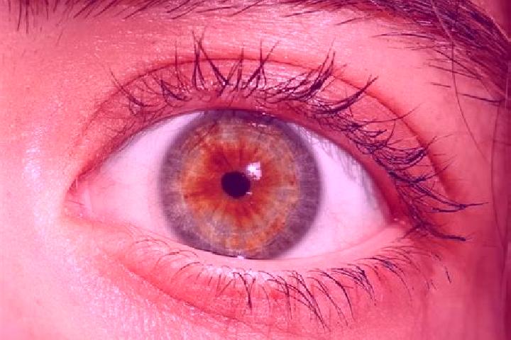 Sadie, 25, a red hazel-eyed ebony companion based in Rocchetta Sant Antonio. Offering Overnight, OWO, Tantra. Available for incall and outcall, overnight boo...
