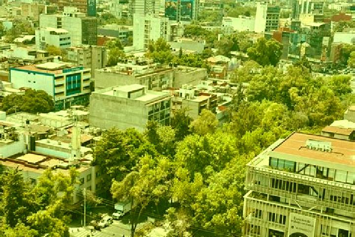 Sadie, 25 — Escort in Colonia Rafael Corrales Ayala, Mexico