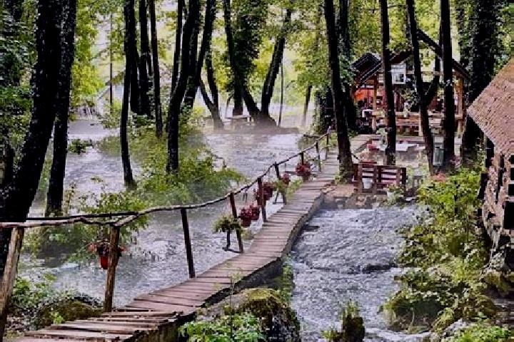 Sadie, 25 — Escort in Jajce, Bosnia and Herzegovina