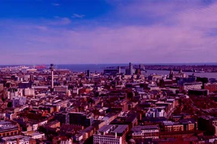 Sadie, 25 — Escort in Liverpool, United States