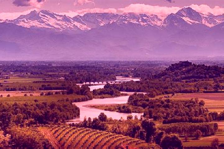 Sadie, 25 — Escort in Moncrivello, Italy