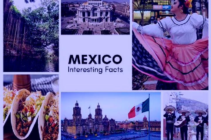 Sadie, 25 — Escort in Poturo, Mexico