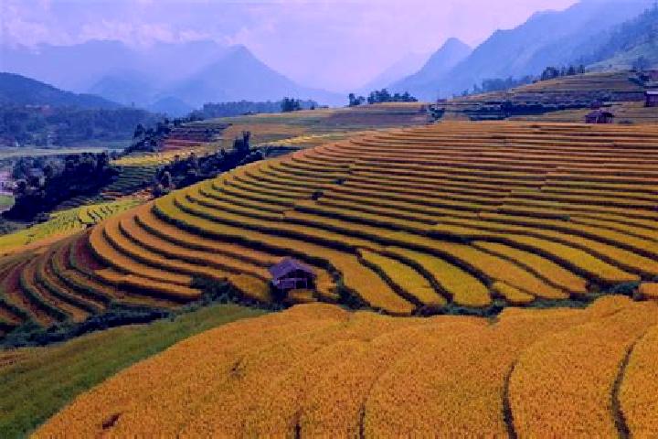 Sadie, 25 — Escort in Sa Pa, Vietnam