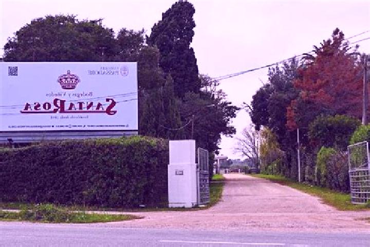 Sadie, 25 — Escort in Santa Rosa, Uruguay