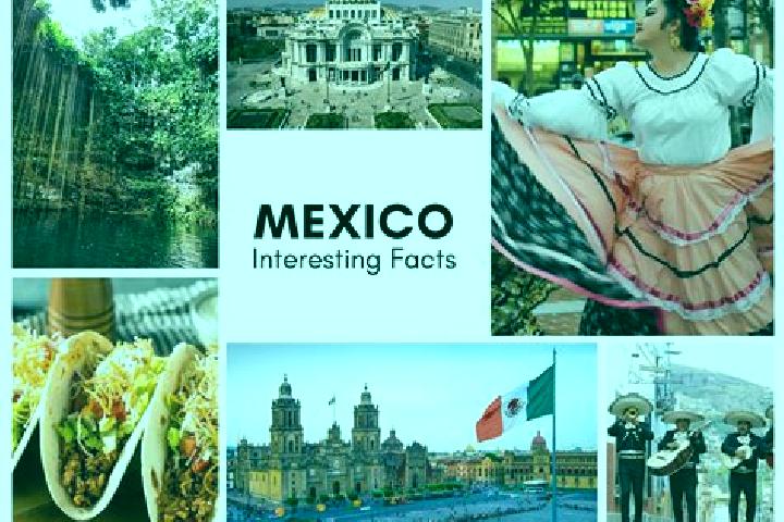 Sadie, 25 — Escort in Soyopa, Mexico
