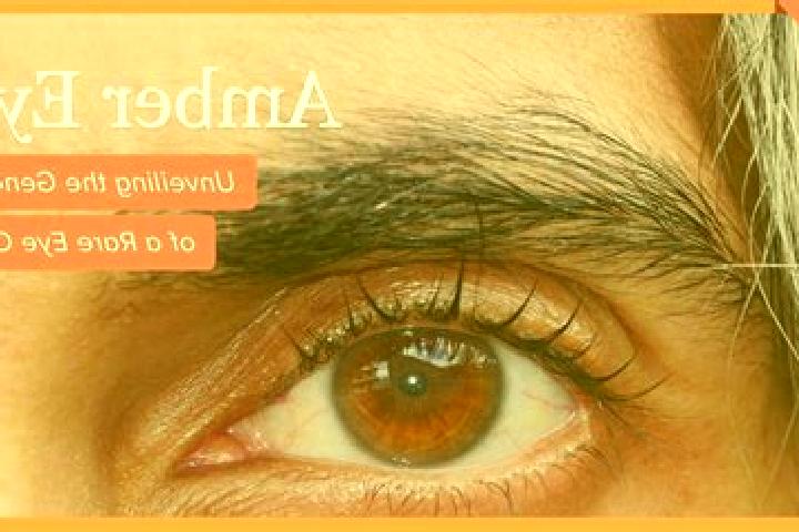 Sadie, 26, a black amber-eyed middle eastern companion based in Volkesfeld. Offering 69, Striptease, Fetish. Available for incall and outcall, day and evenin...