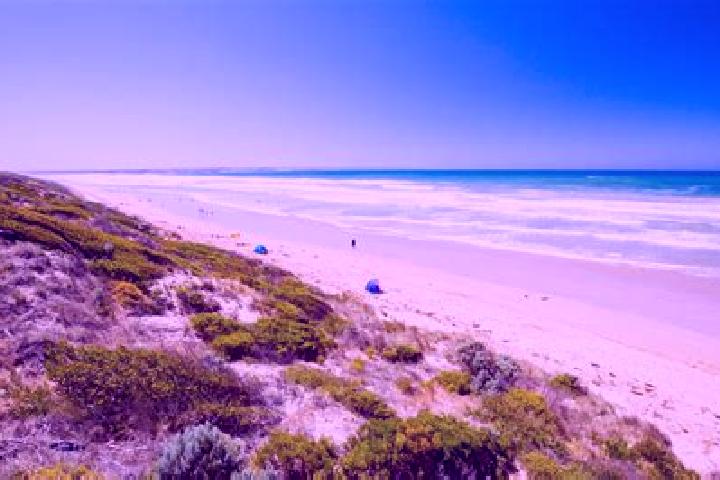 Sadie, 26 — Escort in Cedar Grove, Australia