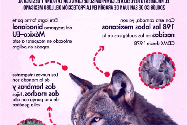 Sadie, 26 — Escort in El Lobo, Mexico