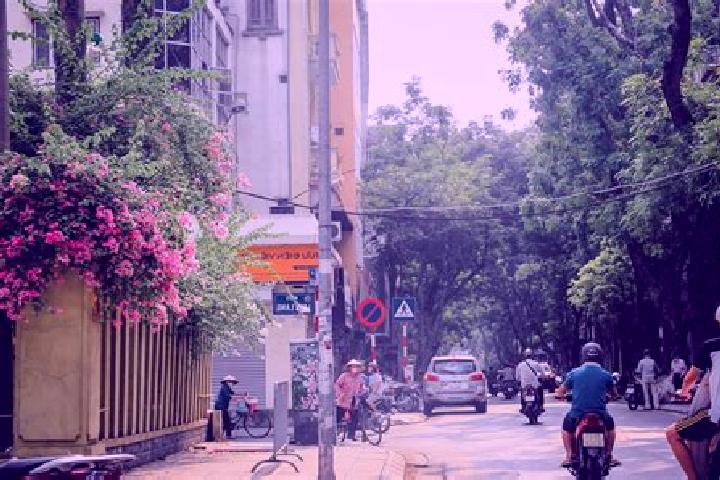 Sadie, 26 — Escort in Thanh My, Vietnam