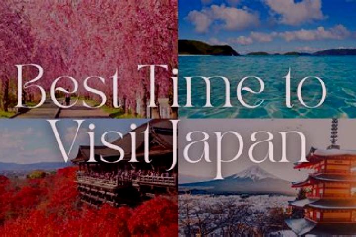 Sadie, 26 — Escort in Ushibukamachi, Japan
